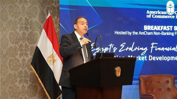 رئيس الرقابة المالية: "الشورت سيلينج" سيستقطب شرائح جديدة من المستثمرين في البورصة