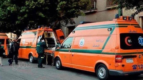 مصرع شاب على يد صديقه خلال مشاجرة بالقليوبية