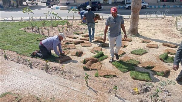 للارتقاء بالمظهر الحضاري، مطروح تطلق مسابقة لاختيار أفضل قرية وحي وتابع