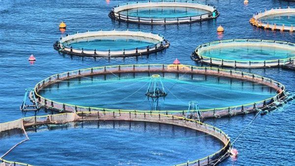 قانون حماية البحيرات، لماذا حظر القانون إلقاء المخلفات في البحيرات؟