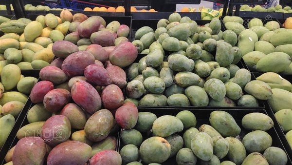 أسعار المانجو اليوم، الفص تقفز إلى 150 جنيها وارتفاع جديد في السكري والعويسي