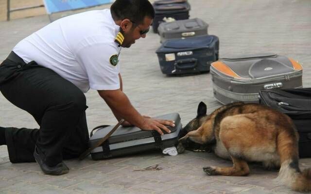 1260 عملية ضبط في المنافذ الجمركية خلال أسبوع.. أبرزها الأسلحة والمخدرات