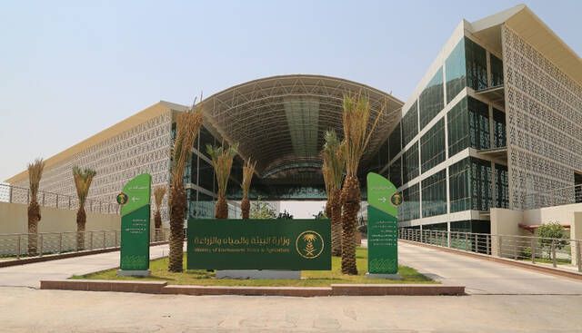 صندوق البيئة يطرح 123 فرصة استثمارية خلال عام