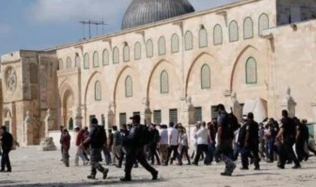 133 مستوطنًا يقتحمون المسجد الأقصى بحماية شرطة الاحتلال الإسرائيلي