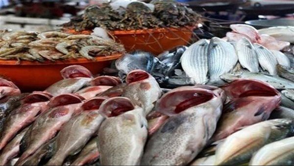 أسعار السمك اليوم، البلطي يسجل 72 جنيها "جملة" والبوري يغري المصريين