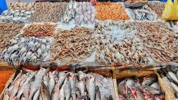 أسعار السمك اليوم ترفع شعار "بلاها بروتين"، ارتفاع المكرونة 50 جنيها والبلطي 4 والجمبري قرب الألف