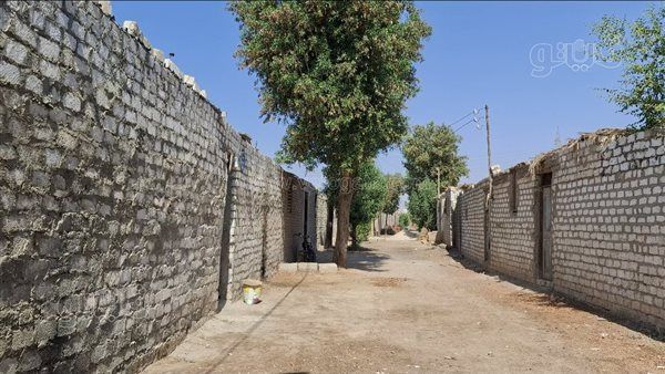 المتر بـ 8 آلاف جنيه والحسابة بتحسب، غرائب تقنين الأراضي بمنطقة المعنا الجبلية في قنا (فيديو)