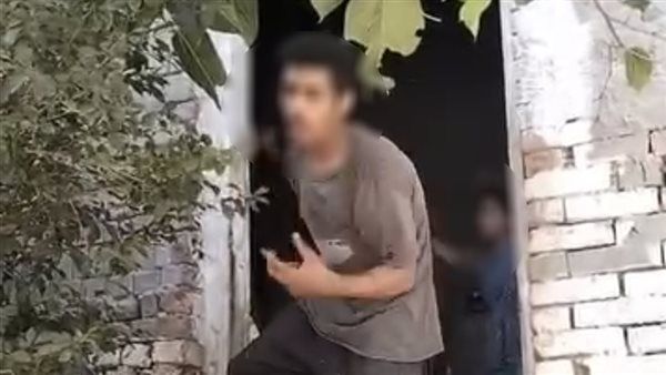 الأمن يكشف حقيقة فيديو "استدراج الطفلتين" في بسيون بالغربية ويضبط المتهم