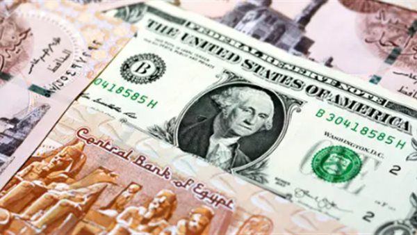 سعر الدولار أمام الجنيه اليوم الأربعاء 19-8-2026 في بداية التعاملات