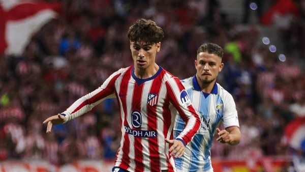 أتلتيكو مدريد يفوز على مالاجا 0/2 في الدوري الإسباني