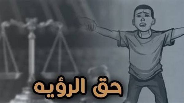 أزمة تعطيل تنفيذ أحكام الرؤية تحت قبة البرلمان، لماذا تطالب الأحزاب بكتاب دوري وتنظيم للاستضافة؟