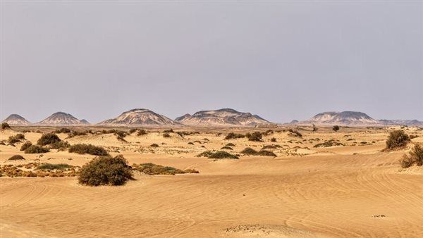 أرض مصر تبوح بسر جديد، اكتشاف بحر مغمور وحفريات لأسماك قرش في الصحراء الغربية