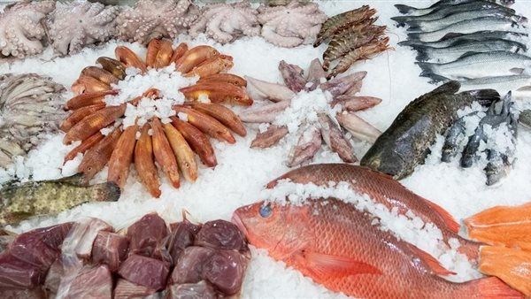 أسعار السمك اليوم، البلطي يعاود "جنونه" وقفزة في البوري والكابوريا وانخفاض الجمبري 80 جنيها