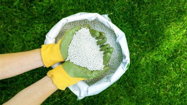 طن اليوريا المخصوص يصل إلى 30 ألف جنيه، أسعار الأسمدة اليوم في الأسواق