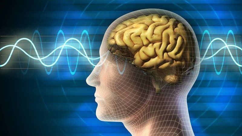تقوية الذاكرة، فيتو