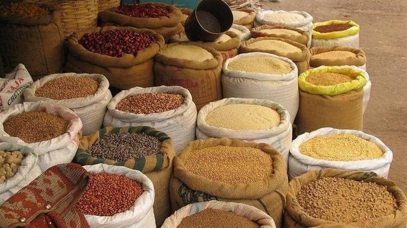 أسعار الأعلاف والحبوب اليوم في الأسواق، فيتو