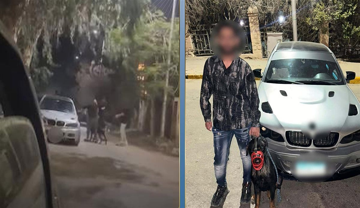 الداخلية تكشف ملابسات فيديو «البلطجة والكلب» في الجيزة