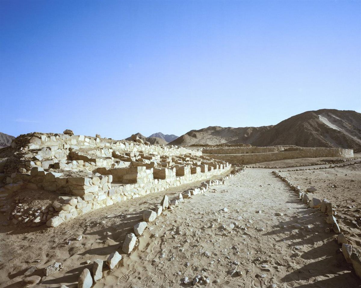 e067938e70.jpg