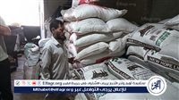 زراعة بني سويف تراجع تراخيص محال الأعلاف بمركز ناصر