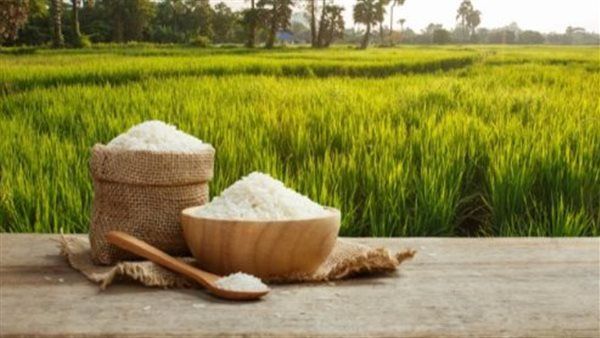 أسعار الأرز اليوم الأحد 27 سبتمبر