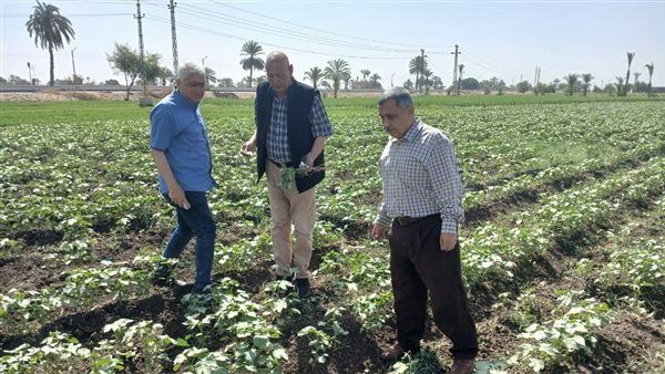 محمود عطا لـ «فيتو»: الإرشاد الزراعي مات والجمعيات الزراعية خرجت من الخدمة