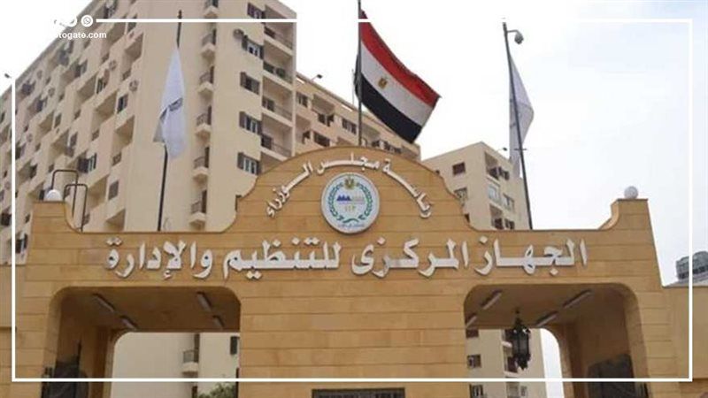 ترشيح 792 متقدما من قوائم الانتظار لعقد المقابلات الشخصية لشغل وظائف عمال بوزارة الأوقاف