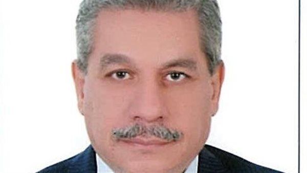 الدكتور أمين لطفي يكتب: التمكين المؤسسي للقطاع الخاص في الجمهورية الجديدة.. الداء والدواء