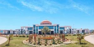 جامعة زويل تعلن عن 20 منحة لدراسة الهندسة لأبناء الإسكندرية، اعرف الشروط