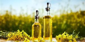 استيراد 90 % من الزيوت يتطلب إعادة رسم خريطة المحاصيل الزيتية.. خبراء الزراعة: الكانولا وعباد الشمس حل مثالي للأزمة.. والتوسع في زراعة الزيتون والسمسم ونخيل الزيت