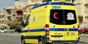 فتاة تنهي حياتها بالقفز من الطابق الـ11 في المعصرة