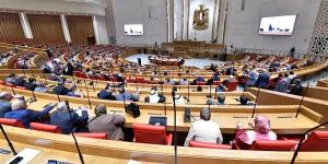 قبل بدء دور الانعقاد الثانى، تفاصيل مشروع تعديل قانون رعاية المريض النفسي