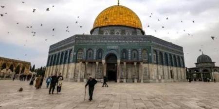 القدس: 1678 مستوطنا اقتحموا الأقصى خلال يومين وتصعيد لفرض وقائع جديدة داخله