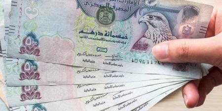 تراجع سعر الدرهم الإماراتي أمام الجنيه في البنوك المصرية اليوم الخميس