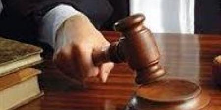 إعدام متهم بقتل طفل خلال محاولة سرقة توك توك في المنيا