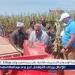محافظ أسيوط: مشروعات تنموية بقرى أبنوب لدعم الزراعة وتدوير المخلفات وتحسين جودة الحياة