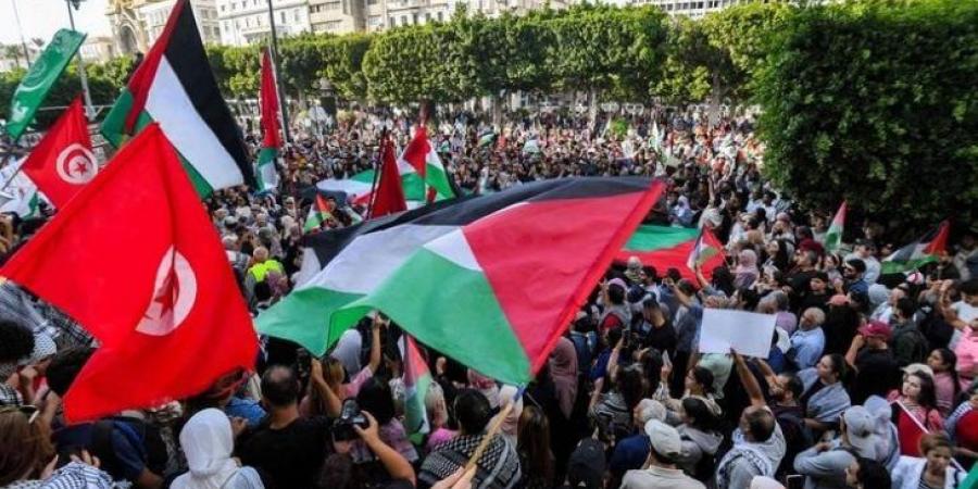 حراك تونسي يستنكر تناقض السلطة بين دعم فلسطين واعتقال مؤيديها