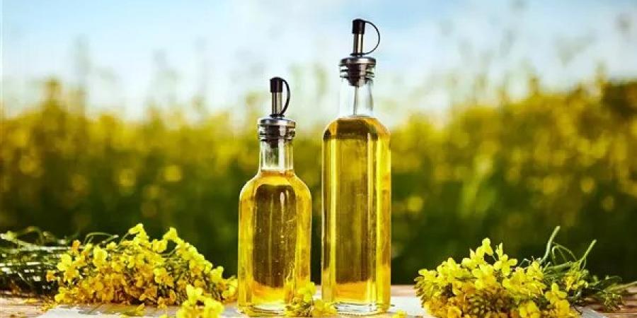 استيراد 90 % من الزيوت يتطلب إعادة رسم خريطة المحاصيل الزيتية.. خبراء الزراعة: الكانولا وعباد الشمس حل مثالي للأزمة.. والتوسع في زراعة الزيتون والسمسم ونخيل الزيت