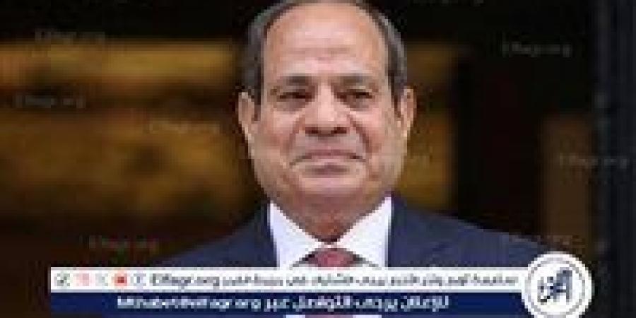 السيسي: مصر خسرت نحو 20 مليار دولار من عوائد قناة السويس