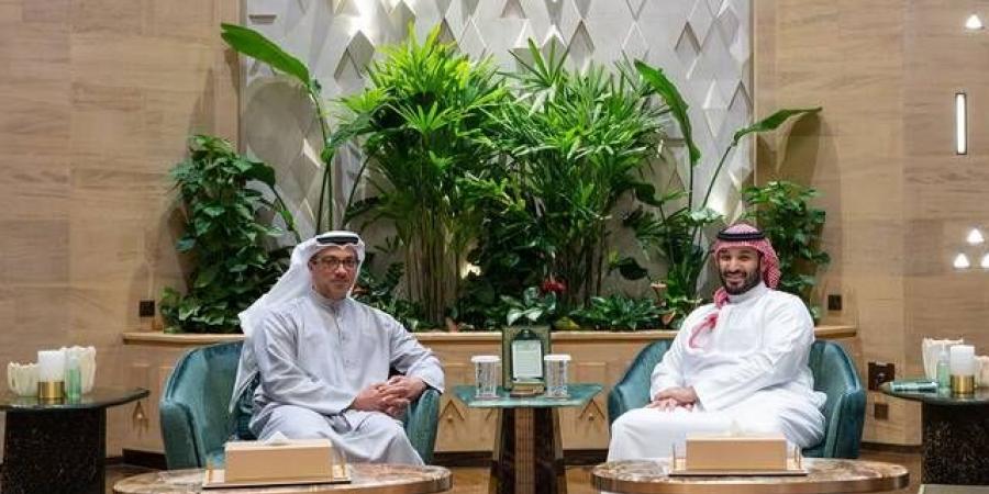 محمد بن سلمان ومنصور بن زايد يبحثان العلاقات السعودية الإماراتية وتطورات المنطقة