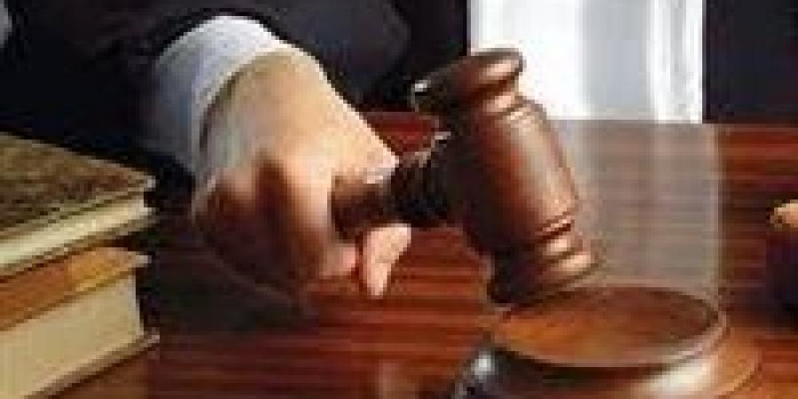 إعدام متهم بقتل طفل خلال محاولة سرقة توك توك في المنيا