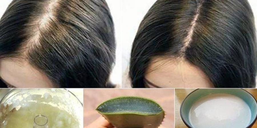 وصفات طبيعية للعناية بالشعر الخفيف ومنحه مظهرا أكثر صحة