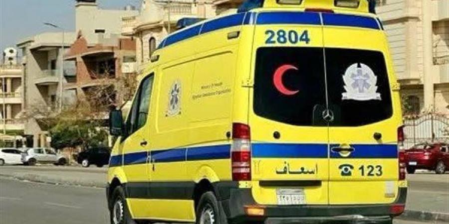 إصابة طالب بجروح قطعية في الرقبة والظهر إثر اعتداء بسكين بالدقهلية