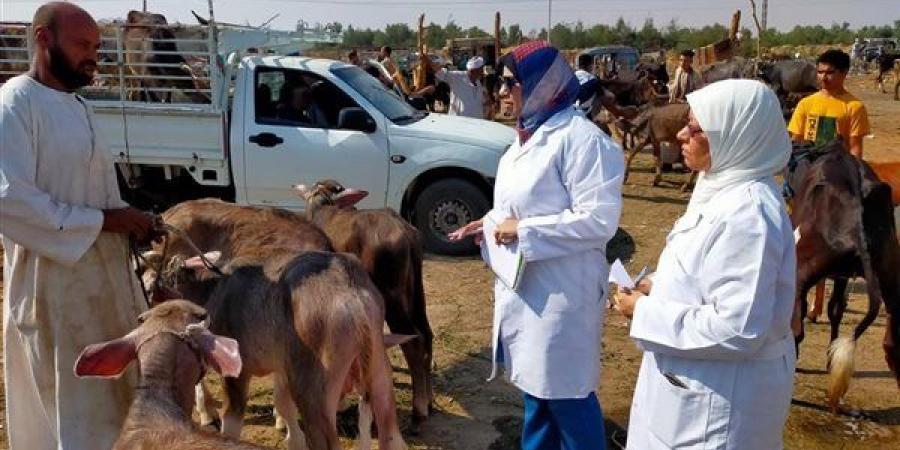1037 ترخيصًا جديدًا و774 تسجيلة أعلاف، حصاد قطاع الثروة الحيوانية والداجنة خلال سبتمبر