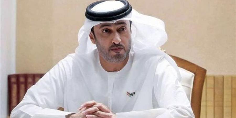 الإمارات: عمل إرهابي وراء واقعة رحلة فلاي دبي