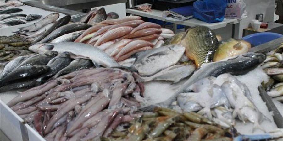 أسعار الأسماك اليوم، انخفاض 4 أصناف منها البلطي والبوري والجمبري يسجل 1200 جنيه