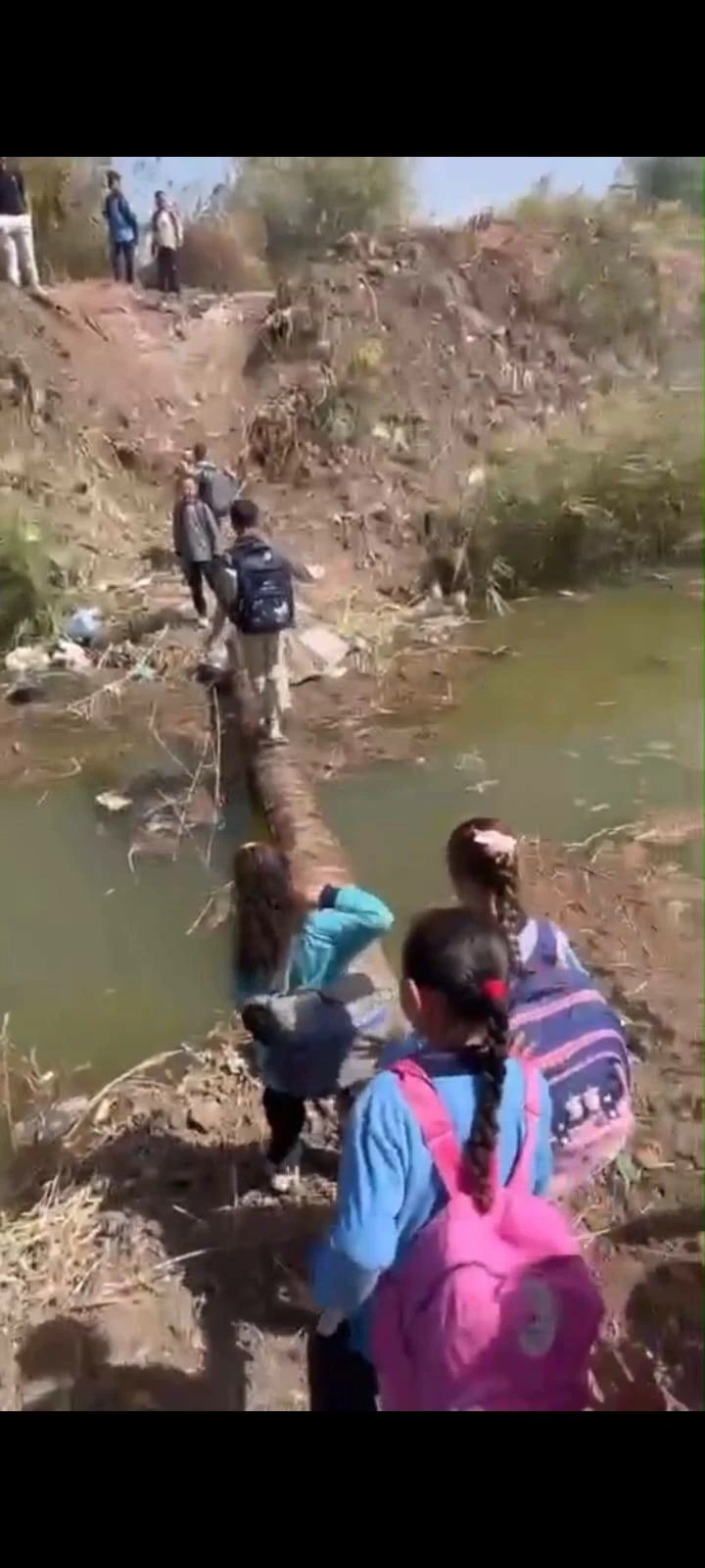 فيديو يظهر عبور تلاميذ على جذع نخلة أعلى ترعة في قنا يثير جدلًا