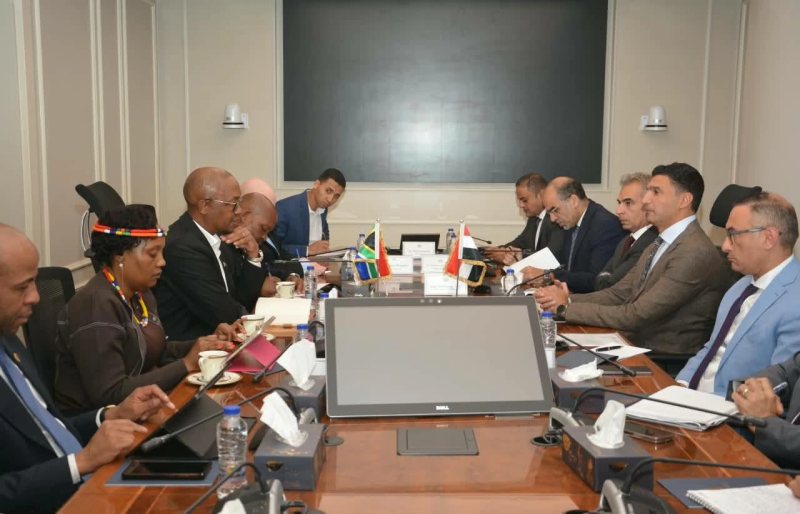 وزير الصناعة يبحث التكامل الصناعي مع جنوب أفريقيا (تفاصيل)