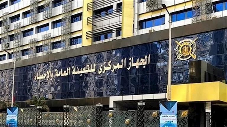 من المعاش إلى سوق العمل.. كيف تستفيد مصر من خبرات 10.2 مليون مسن؟