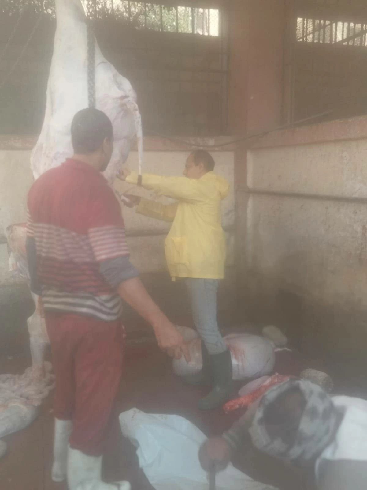 ذبح 26 رأس ماشية وسط حملات بيطرية مكثفة على مجازر صدفا بأسيوط