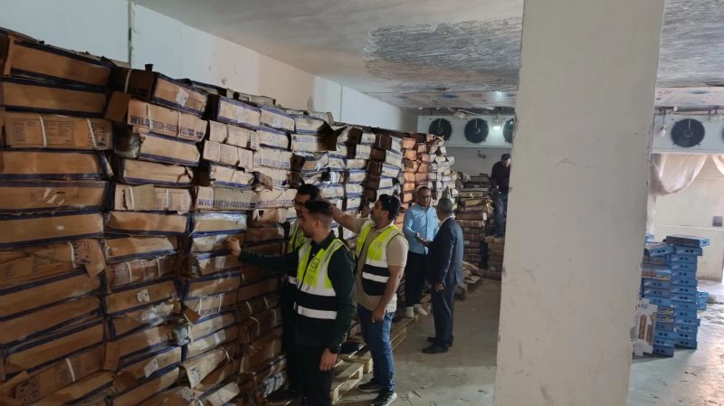 «لتصنيع الرنجة».. ضبط 41 طن أسماك «هارنج» فاسدة في حملة بالغربية